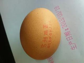 鸡蛋日期紅墨喷码机